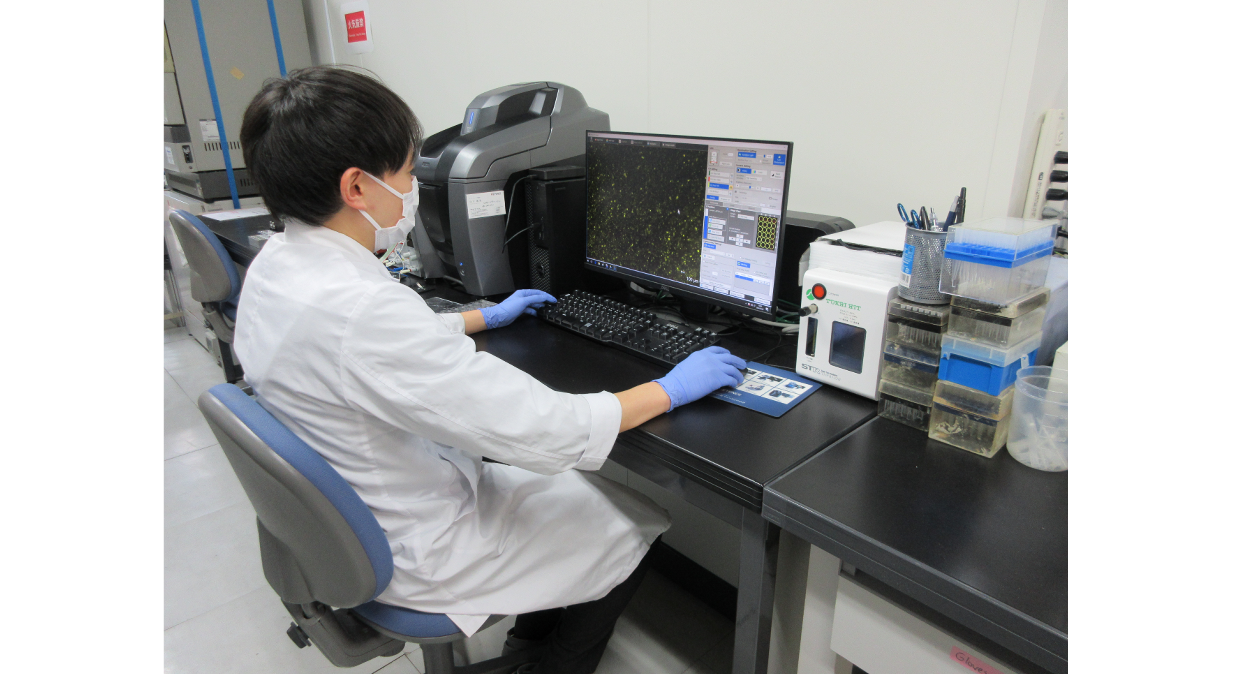 Researcher observing cells with a microscope