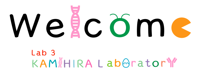 Lab 3 Kamihira Laboratory
