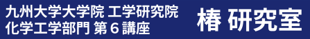 椿研究室 | 九州大学大学院 工学研究院 化学工学部門 第6講座